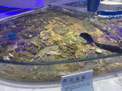 -澜悦港海鲜体验主题餐厅