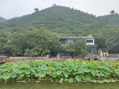 -荷塘味道(水长城店)