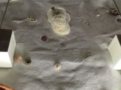 -青岛贝壳博物馆