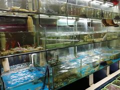 水产区-大海山·十八年海鲜闽菜(金港店)