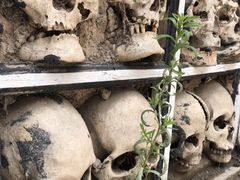 -比如骷髅墙景区