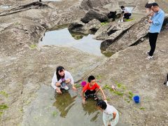 -日照灯塔风景区