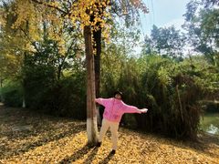 -白鹭湾湿地公园