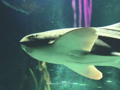 -沈阳海洋探索中心