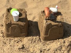 -天津东丽湖风景区