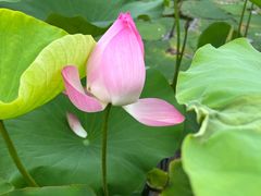 -伍师傅按摩馆(白云尚城花园店)