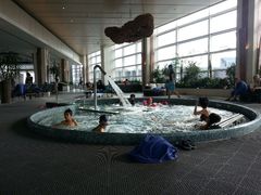游泳池-上海浦东嘉里大酒店