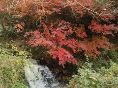 -水绘园