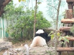-南宁市动物园