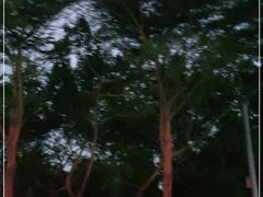 -长洲岛