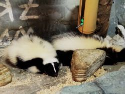 -Zoolung Zoolung动物主题公园(海信广场店)