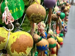 -西双版纳原始森林公园