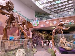 -陕西自然博物馆