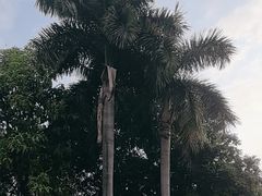 -广州市白云山风景名胜区