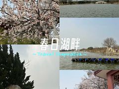 -大港湿地公园