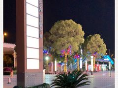 -莲花国际广场