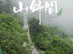 -峨眉山风景名胜区