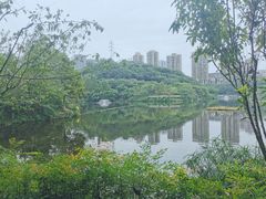-重庆彩云湖湿地公园