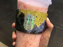 -野萃山·潮汕厚果汁(十亩地店)
