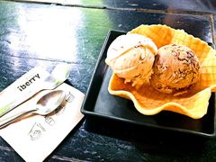 -莓园冰淇淋店