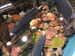 -海鮮市場長崎港(出島ワーフ店)