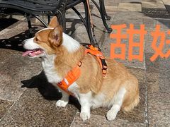 -叠溪松坪沟景区