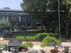 -蘇河湾·新鲁菜·泰山宴(泰山店)
