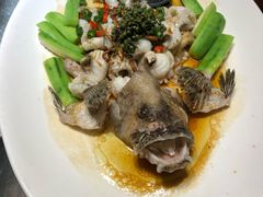 鲜花椒蒸鱼-猪肉婆私房菜(容桂总店)