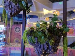 -星河湾温泉洗浴酒店
