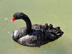 -森林公园(尖草坪区)