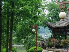 -重庆彩云湖湿地公园