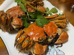 -呼吸森林·生态农庄农家乐私房菜