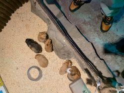 -酷嗒动物文化乐园(cutezoo西溪乐天城店)