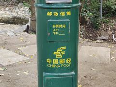 -欢乐松鼠谷