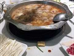 -古乐牛香·鲜牛肉牛杂火锅(千灯店)