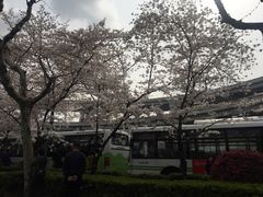-上海南浦大桥长途旅游客运站