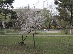 -辽宁大学(崇山校区)