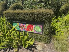 -墨尔本皇家植物园