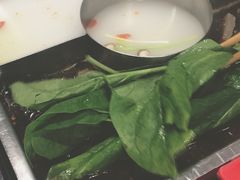 -新辣道鱼火锅(世纪金源购物中心店)