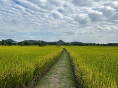 -良渚文化村