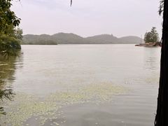 -东湖落雁景区