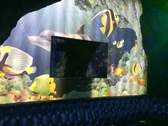-尚橙歌坊主题式KTV(恒大商业广场店)