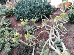 -南通洲际绿博园