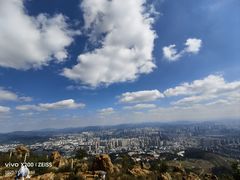 -长虫山生态公园风景林