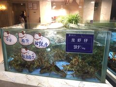 水产区-旺顺阁海鲜广场(亚运村店)