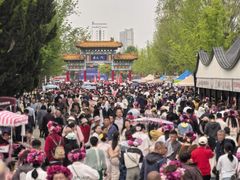 -曹州牡丹园