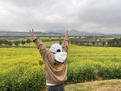-光明小镇欢乐田园