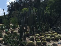 -黄金海岸环岛路