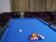 -丁俊晖台球俱乐部(海上海·弘基休闲广场店)