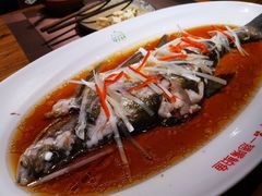 清蒸翘嘴鱼白-丹江渔村(首都机场店)